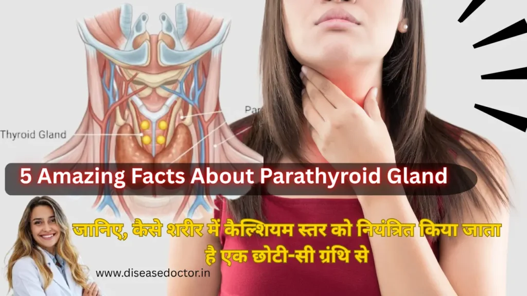 Parathyroid Gland